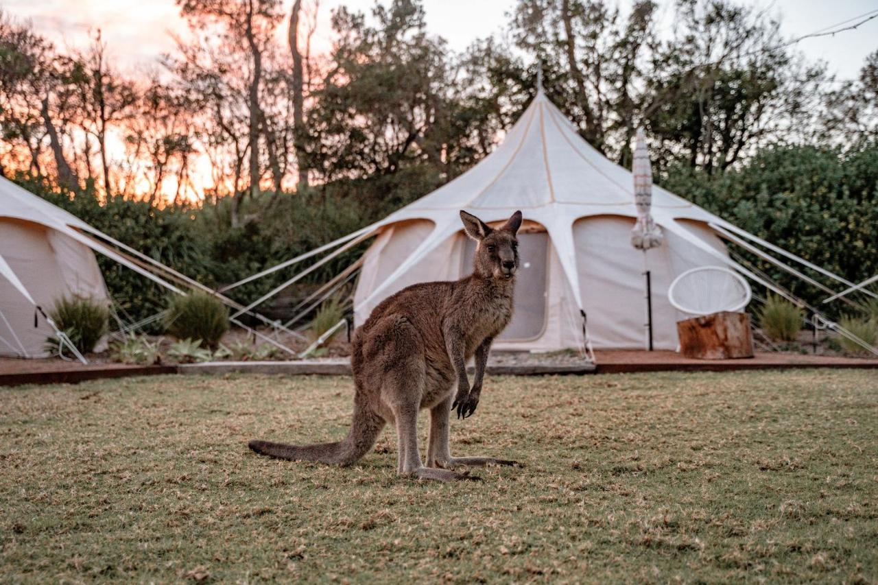 The Cove Jervis Bay Villa Esterno foto